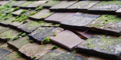 Faringdon roof repair costs